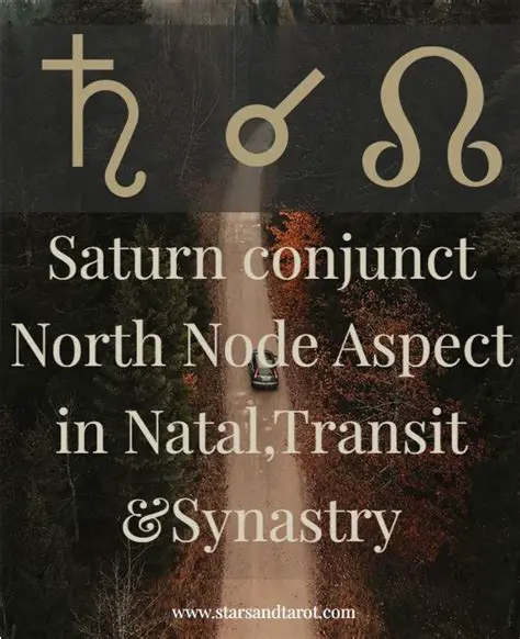 Transit and Synastry Charts