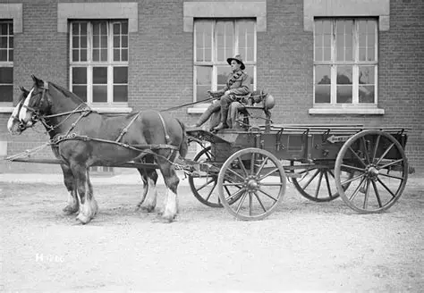 Transportation in the 19th Century