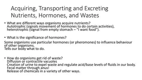 Transporting nutrients and hormones