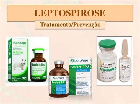 Tratamento da Leptospirose