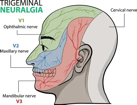Trigeminal Nerve Involvement