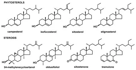 Triterpenoids and Phytosterols