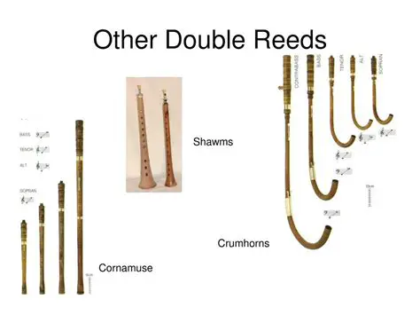 Tuning of Single Reeds and Double Reeds in Tremolo