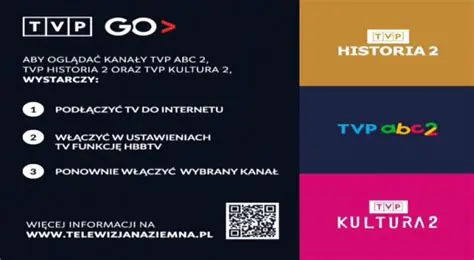 TVP 2: Program, Ramówka, Historia i Przyszłość Drugiego Programu Telewizji Polskiej