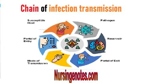 Types of Agents of Disease Transmission