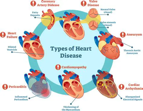 Types of Cardiovascular Disease
