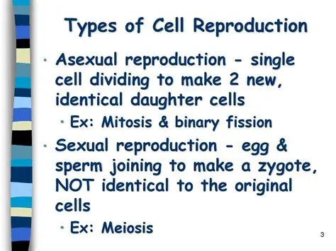 Types of Cell Reproduction