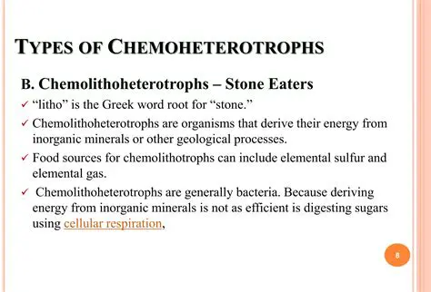 Types of Chemoheterotrophs
