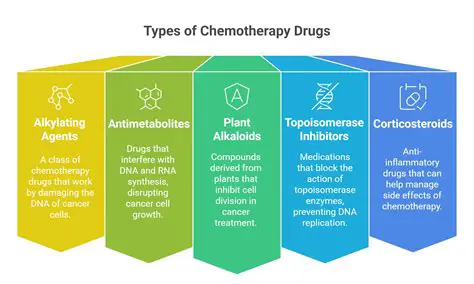 Types of Chemotherapy Drugs