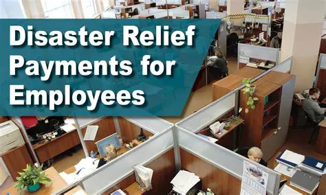 Types of Disaster Relief Payments