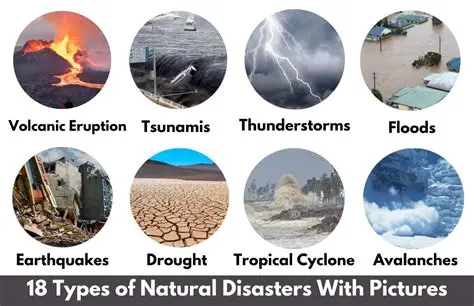 Types of Disasters Covered