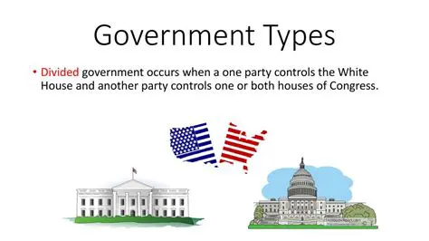 Types of Divided Government
