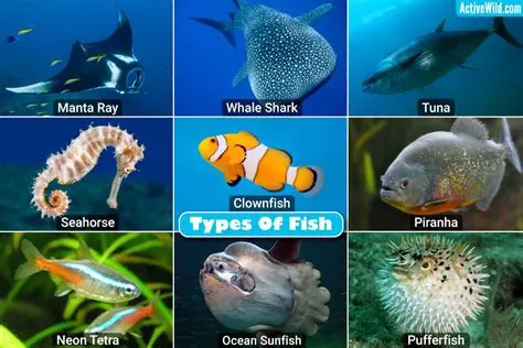 Types of Fish and Their Characteristics