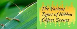 Types of Hidden Object Scenes