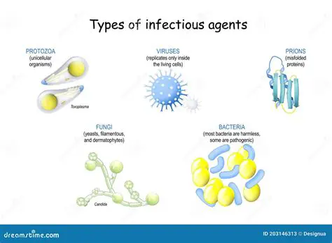 Types of Infectious Agents