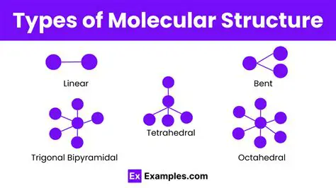 Types of Molecular Structures