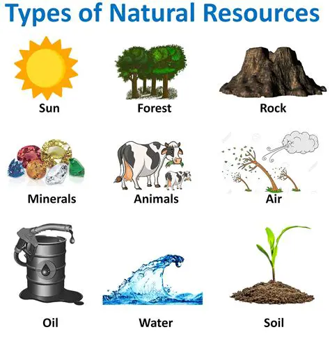 Types of Natural Resources