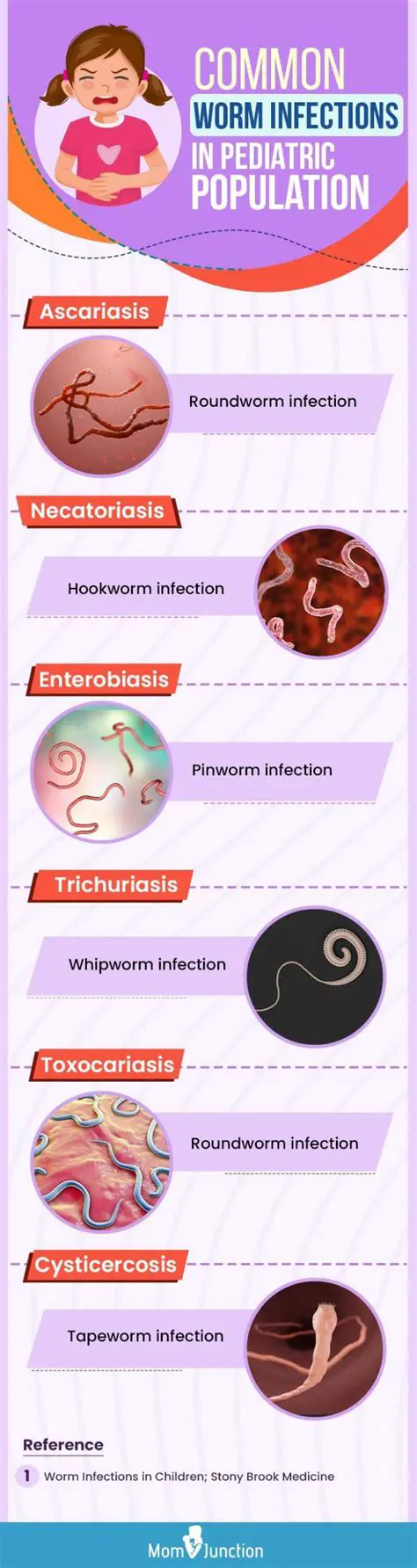 Types of Roundworm Infections