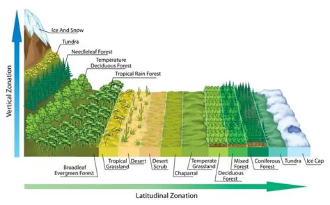 Types of Vegetation Affected