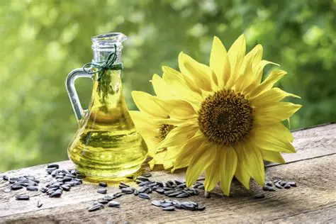 Ukraine's Sunflower Seed Giants: A Deep Dive into the Thriving Sunflower Oil Industry
