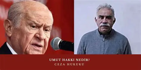 Umut Hakkı Nedir? Hukuki Boyutu ve Uygulama Alanları