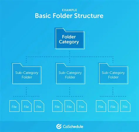 Understand the folder structure