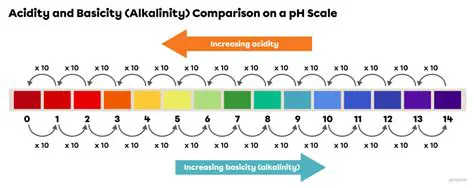 Understanding Acidity and Basicity
