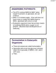 Understanding Anaerobic Pathways