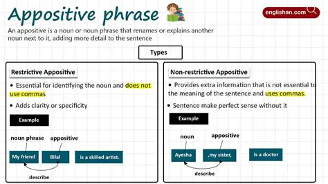 Understanding Appositive Phrases in English Grammar