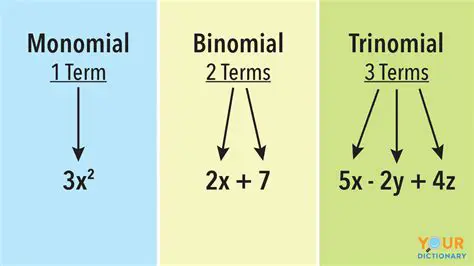 Understanding Binomials and Monomials