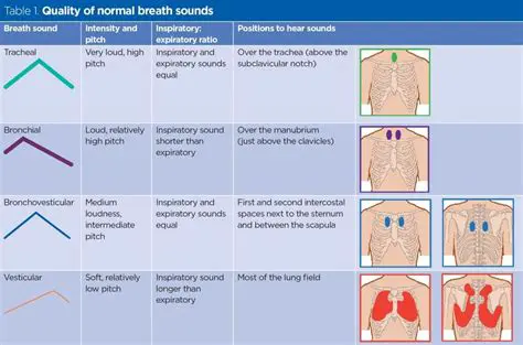 Understanding Breath Sounds