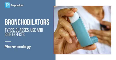 Understanding Bronchodilator Therapy