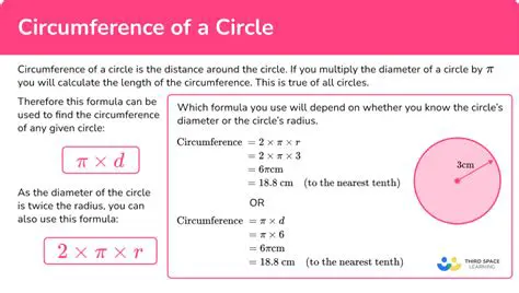 Understanding Circumference and Radius