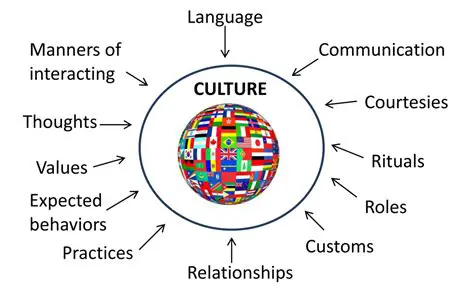 Understanding Cultural and Social Preferences