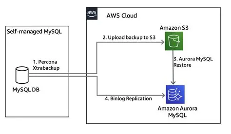 Understanding Database Permissions in AWS RDS MySQL