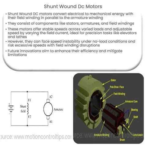 Understanding DC Shunt Motor