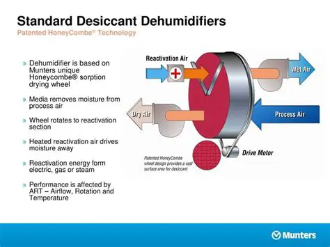 Understanding Dehumidifier Selection