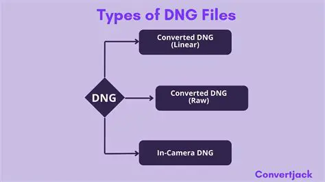 Understanding DNG Converted Duplicates