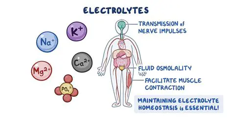 Understanding Electrolytes
