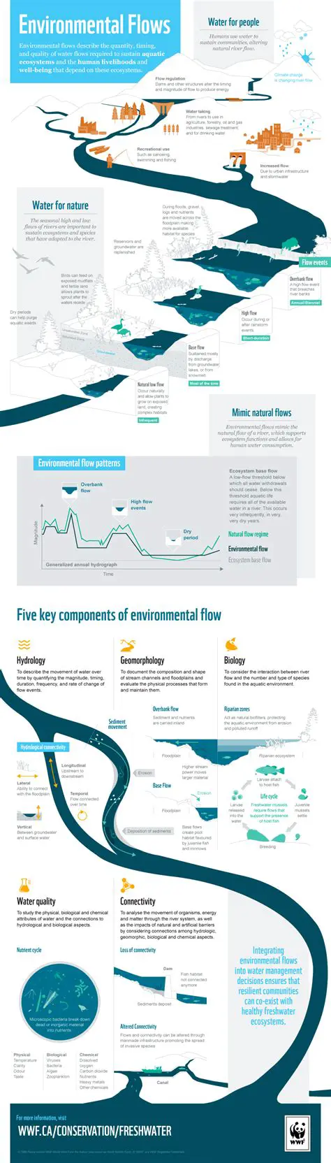 Understanding Environmental Flows