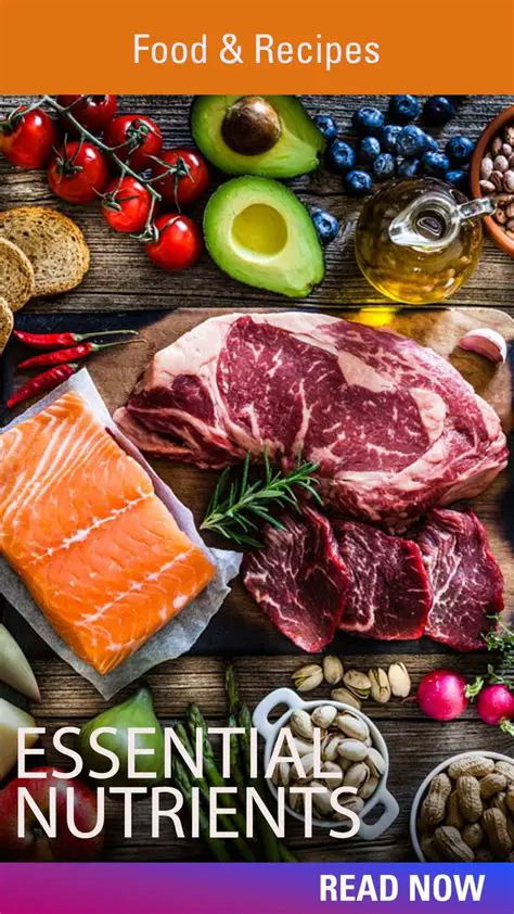 Understanding Essential Nutrients