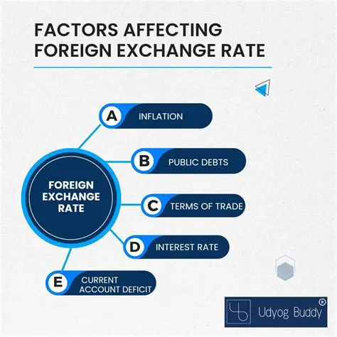 Understanding Exchange Rate Fluctuations
