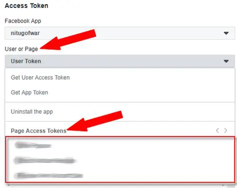 Understanding Facebook Access Tokens