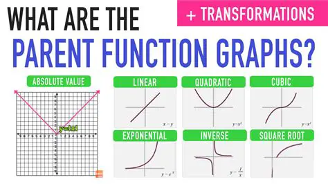 Understanding Functions and Graphs
