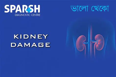 Understanding Kidney Damage