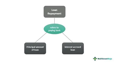 Understanding Loan Repayment Components