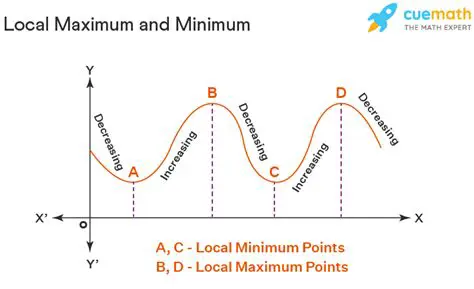 Understanding Local Maximum and Minimum