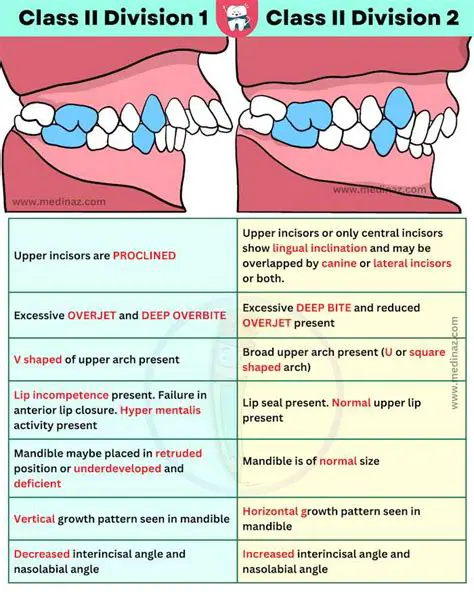 Understanding Malocclusion and Orthodontic Care Needs