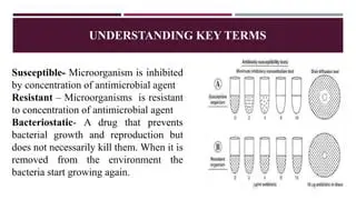 Understanding Microorganism Reproduction