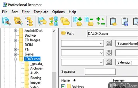 Understanding MIKLSOFT Professional Renamer